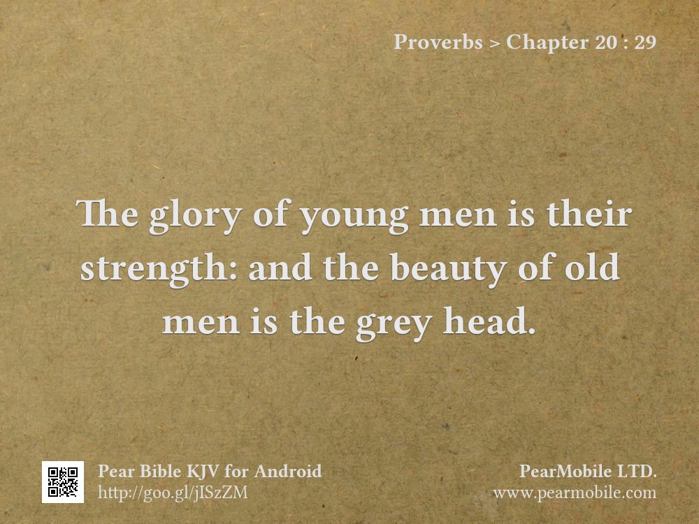 Proverbs, Chapter 20:29
